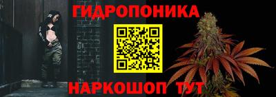 кокс Гудермес