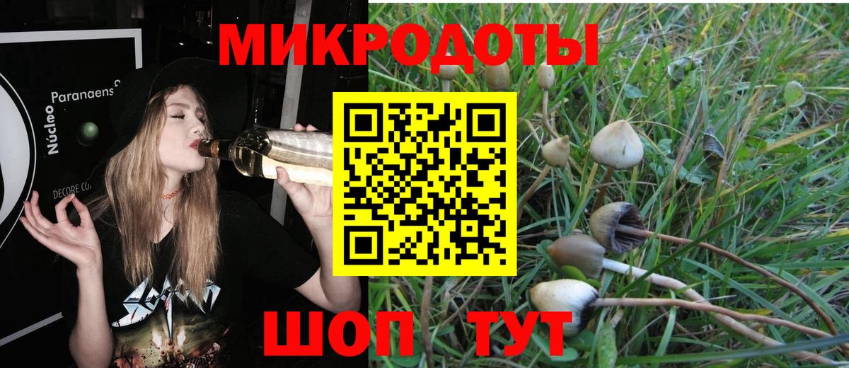 Братск  Галлюциногенные грибы Cubensis  продажа наркотиков  Вход с VPN 
