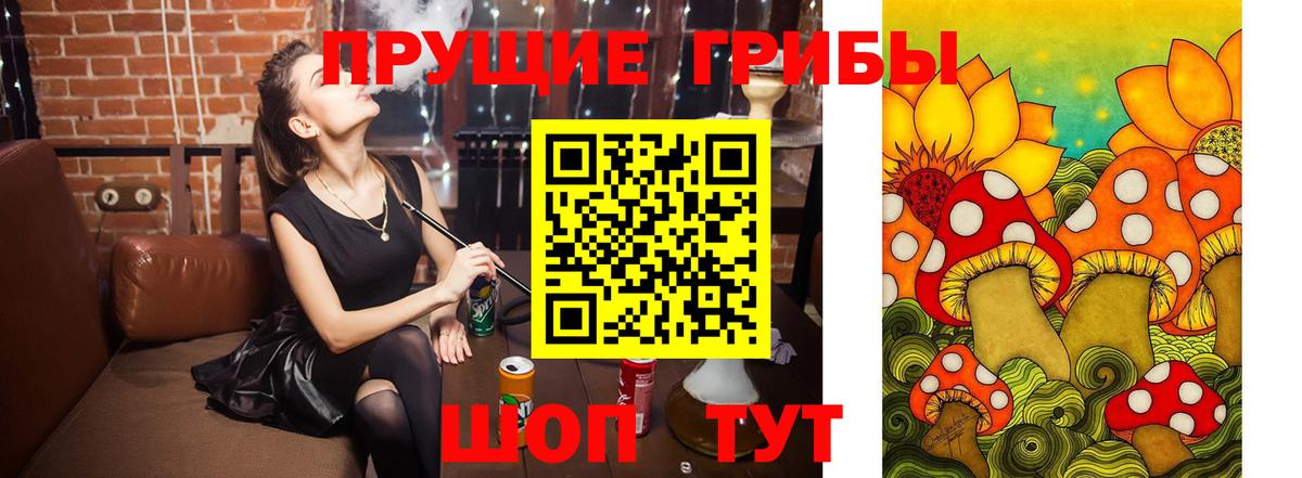 Псилоцибиновые грибы MAGIC MUSHROOMS Братск